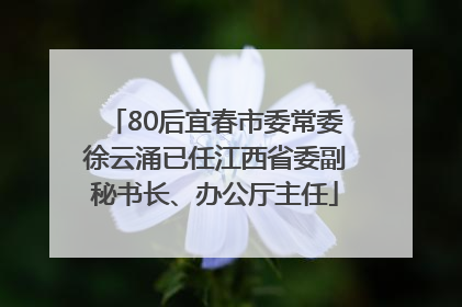 80后宜春市委常委徐云涌已任江西省委副秘书长、办公厅主任