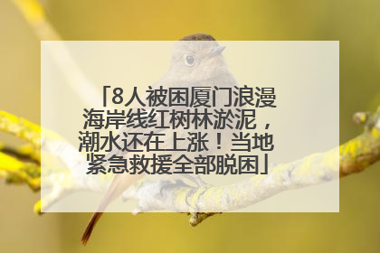 8人被困厦门浪漫海岸线红树林淤泥，潮水还在上涨！当地紧急救援全部脱困