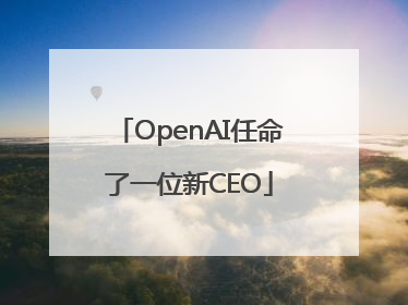 OpenAI任命了一位新CEO