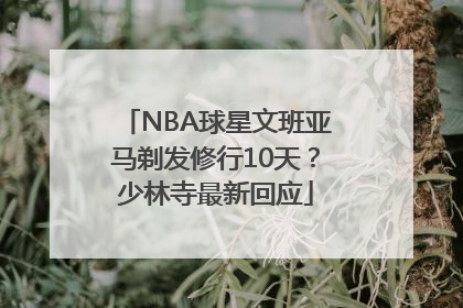 NBA球星文班亚马剃发修行10天？少林寺最新回应