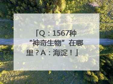 Q：1567种“神奇生物”在哪里？A：海淀！
