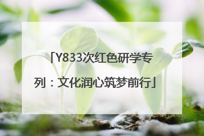 Y833次红色研学专列：文化润心筑梦前行